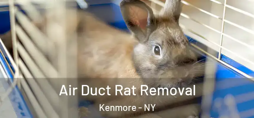 Air Duct Rat Removal Kenmore - NY