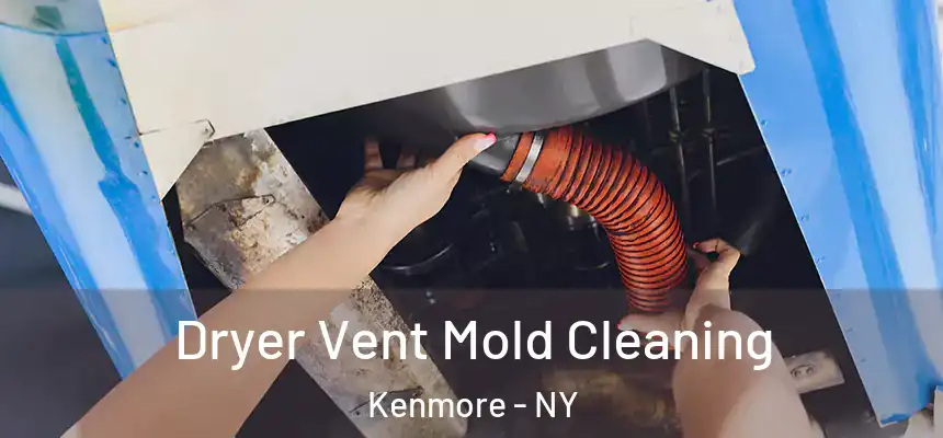  Dryer Vent Mold Cleaning Kenmore - NY