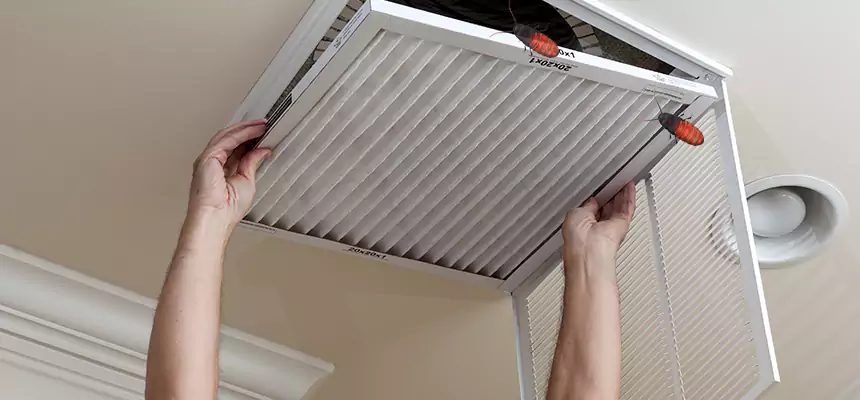 Our Insect Removal from Air Ducts Services in Kenmore, NY