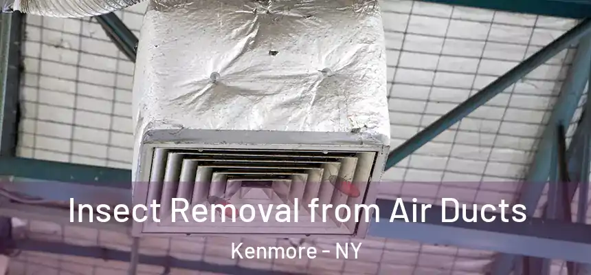  Insect Removal from Air Ducts Kenmore - NY