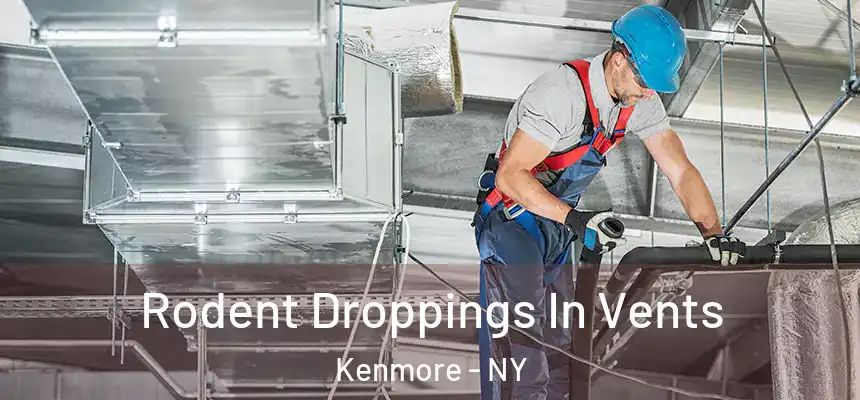  Rodent Droppings In Vents Kenmore - NY