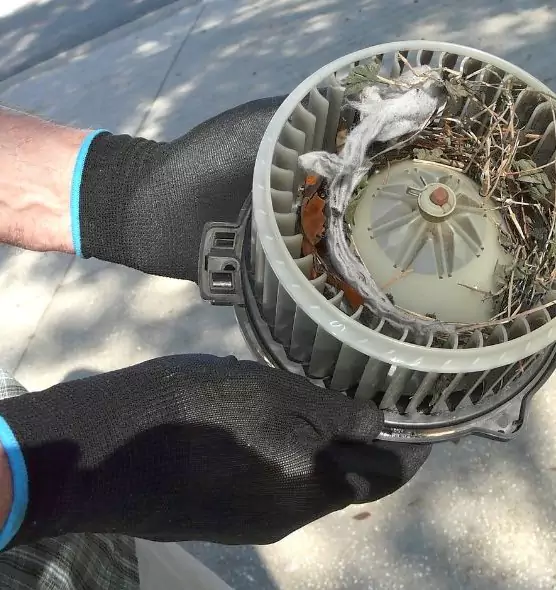 About Air Duct Mice Removal in Kenmore, NY